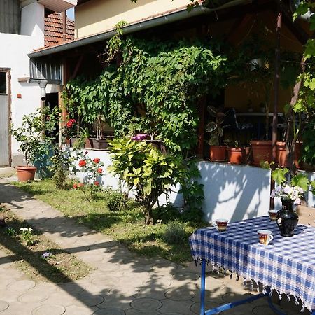 Apartament Etnobubi Novi Sip Zewnętrze zdjęcie