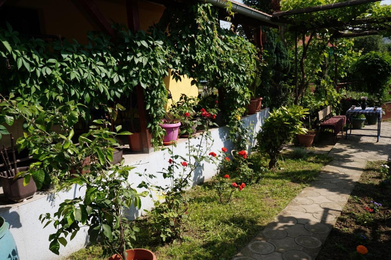 Apartament Etnobubi Novi Sip Zewnętrze zdjęcie