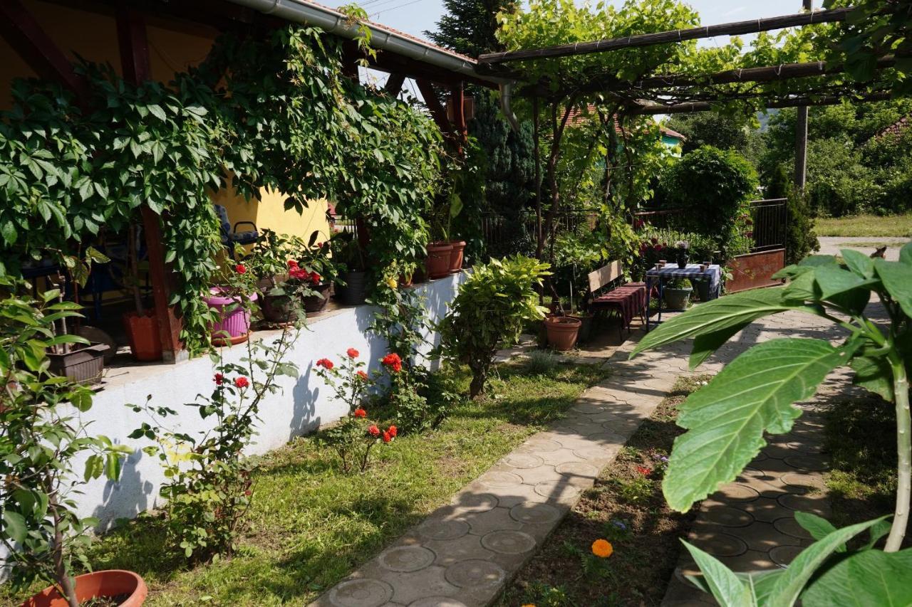 Apartament Etnobubi Novi Sip Zewnętrze zdjęcie