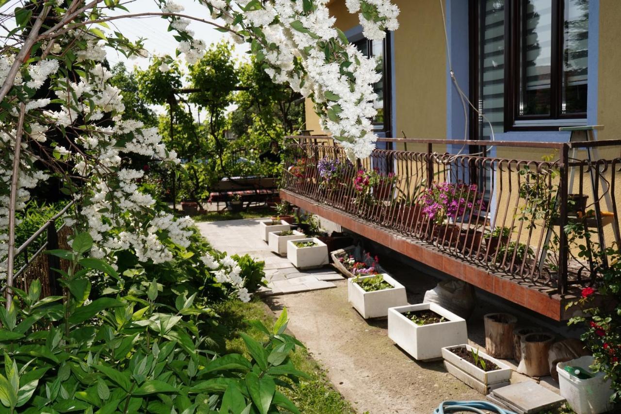 Apartament Etnobubi Novi Sip Zewnętrze zdjęcie