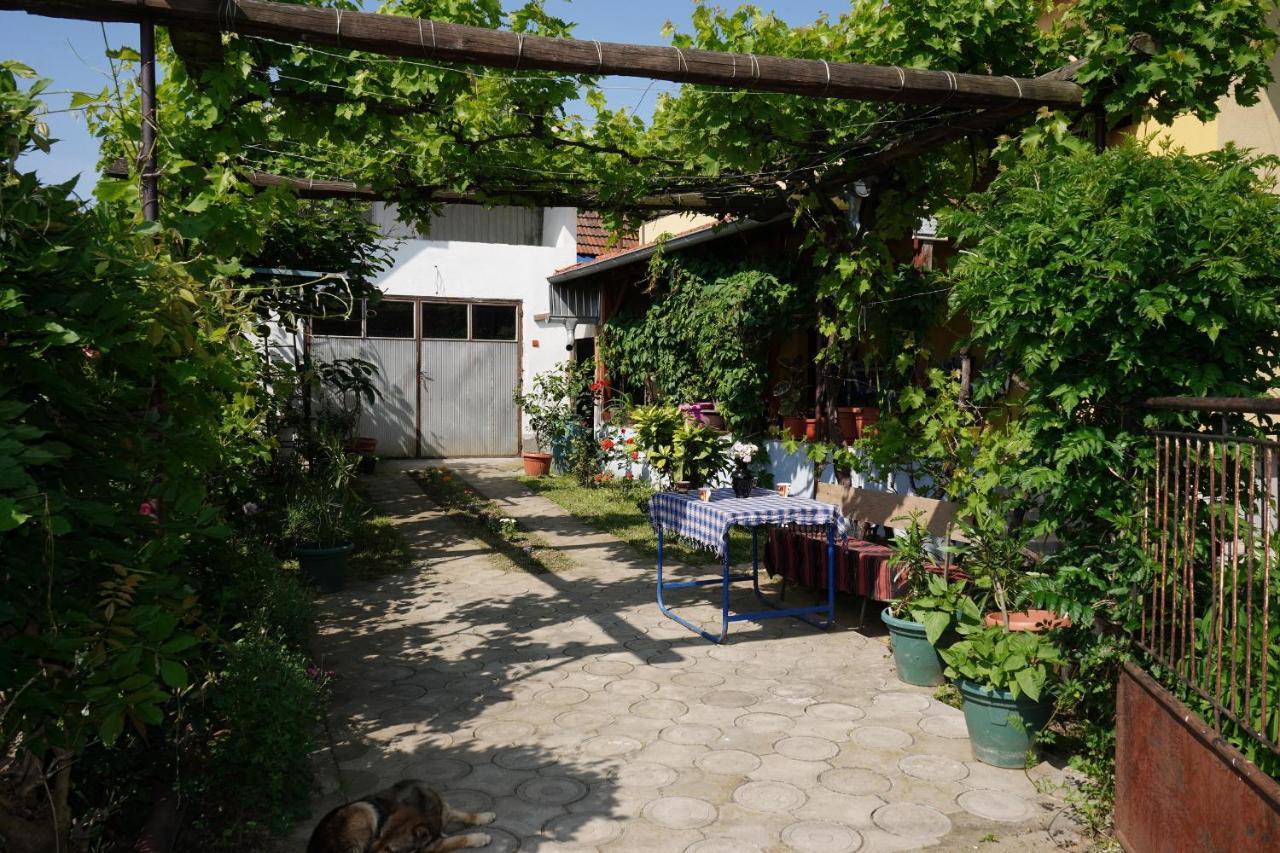 Apartament Etnobubi Novi Sip Zewnętrze zdjęcie